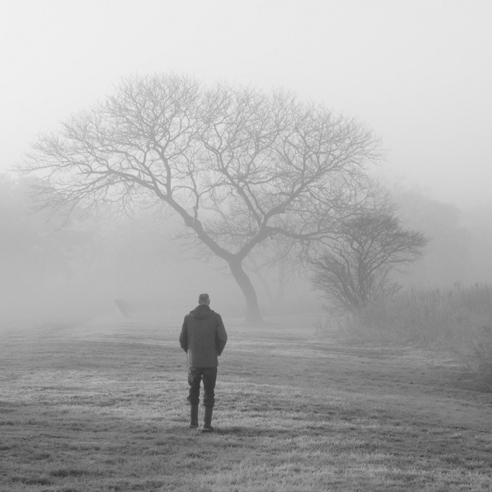 Walk in the Fog